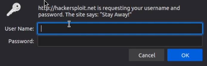 The username and password you configured are required to access the protected directory. The username and password you configured are required to access the protected directory.
