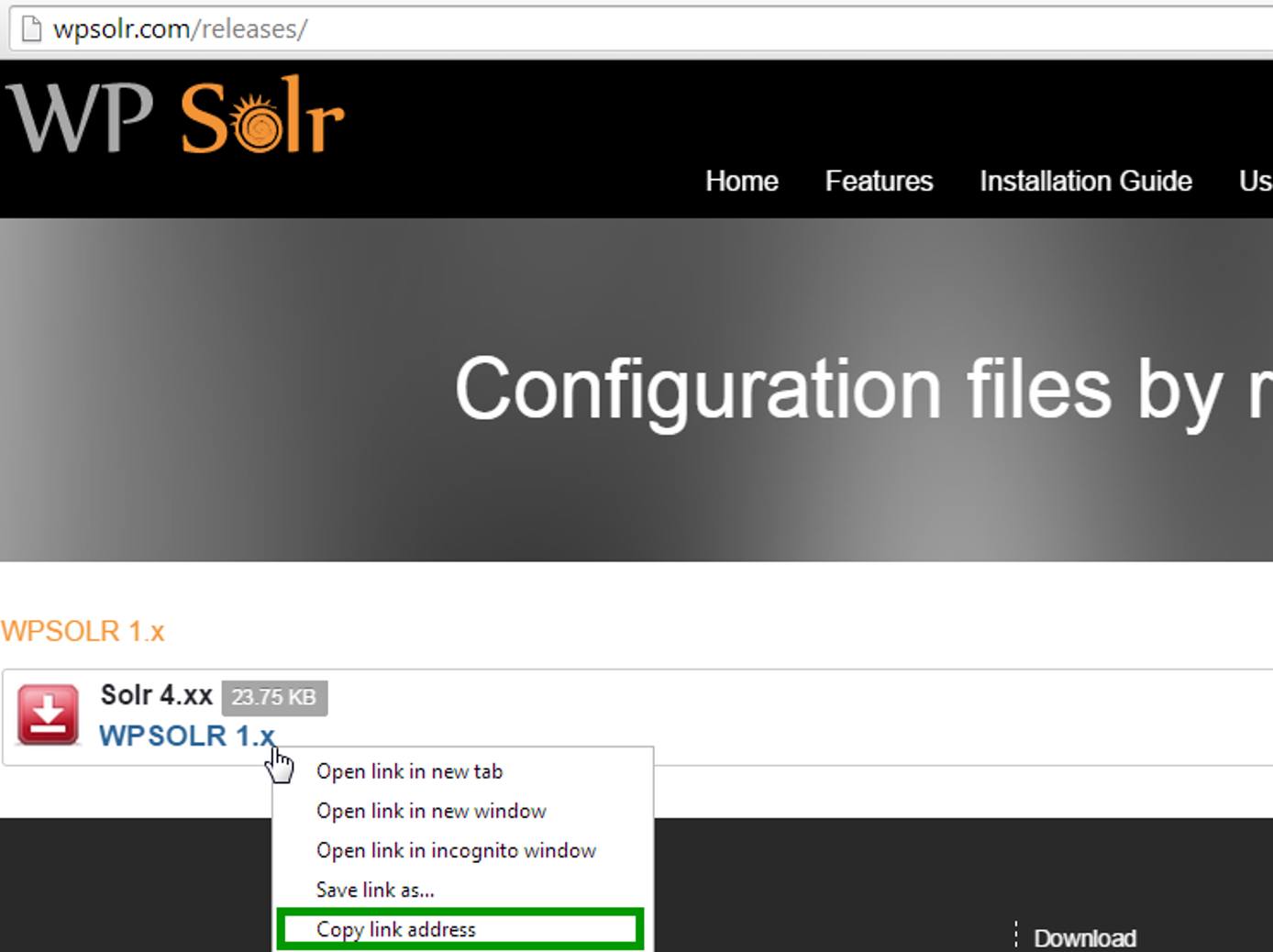 WPSolr Configuration Download WPSolr Configuration Download
