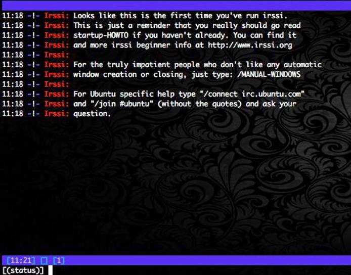 Irssi’s default message. Irssi’s default message.
