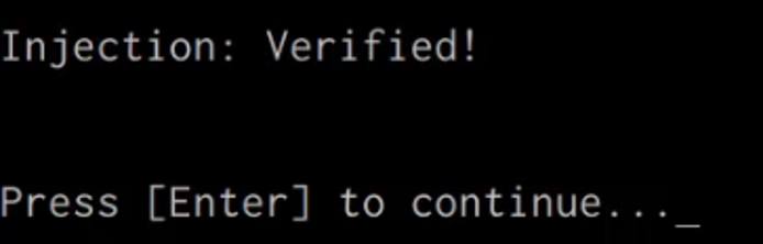 Shellter payload injection confirmation Shellter payload injection confirmation
